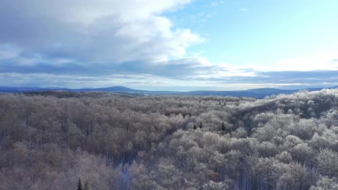 加拿大魁北克日出冻雨后冬季北方自然森林的4k航拍视频