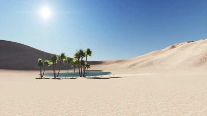 沙漠中的绿洲和炙热的太阳在背景的4k动画