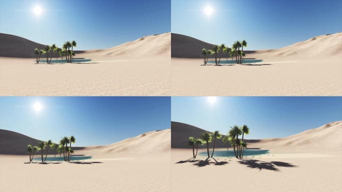 沙漠中的绿洲和炙热的太阳在背景的4k动画