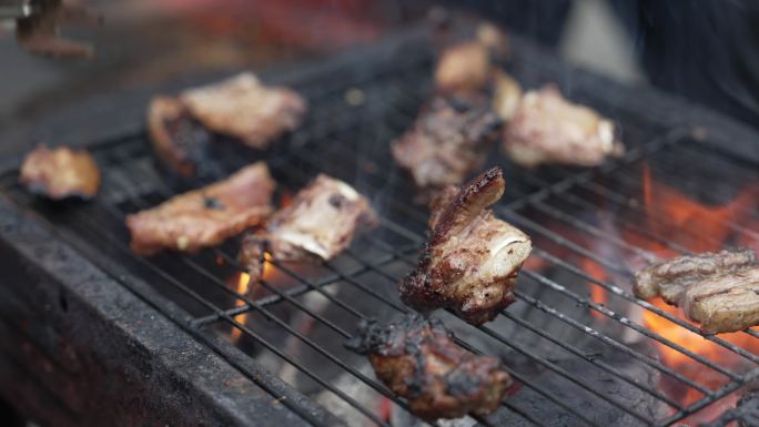 户外烧烤野餐 炭火烤肉