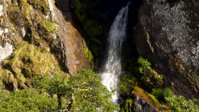 葡萄牙盖尔斯国家公园的皮托达斯朱尼亚卡斯卡塔有树木的瀑布