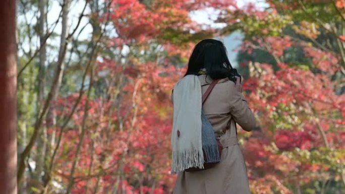 日本女孩第二旅行女孩女孩背景