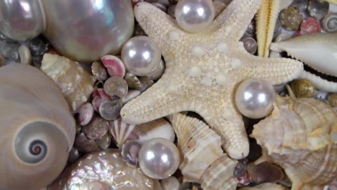 海星、珍珠和贝壳背景