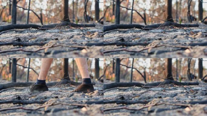 在毁灭性的丛林大火季节2019年后，一名穿着皮鞋的男子在澳大利亚新南威尔士州悉尼附近的森林中穿过尘土