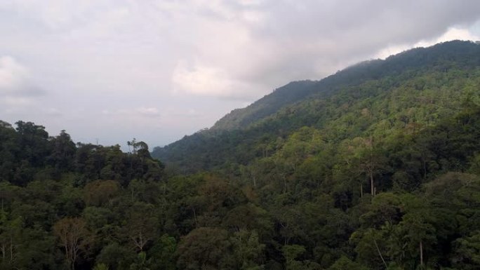 马来西亚最后一片雨林的鸟瞰图