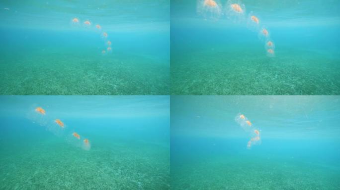 漂浮在透明碧蓝水中的海盐链。