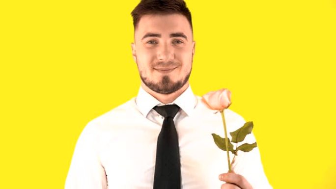 穿着白衬衫和领带的英俊男子嗅着黄色背景上的玫瑰。