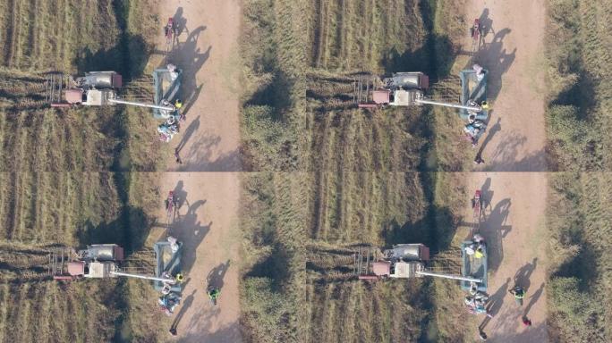 联合收割机将收获的大米卸载到麻袋中的无人机拍摄