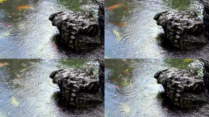 喷泉里有黑色的石头。园林绿化是中国式的。