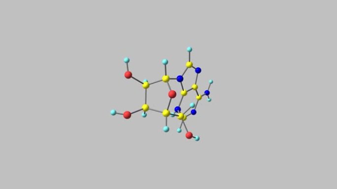 旋转分离蛋白分子视频