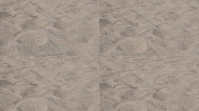 白色海滩细海砂造粒，带脚印和轮胎步道4K