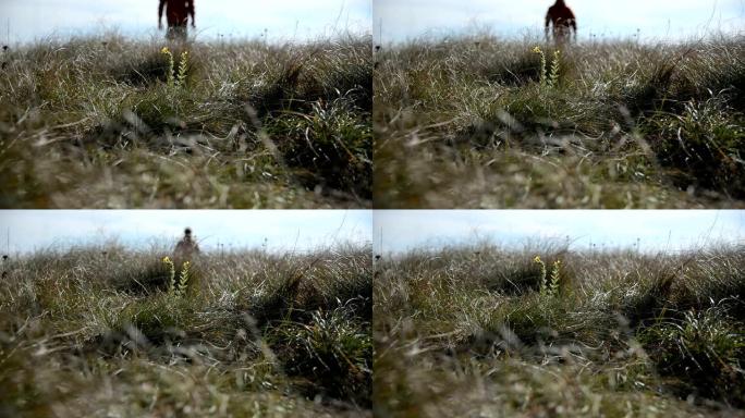 一个人的脚的特写镜头，其轮廓超出了地平线，变成了散焦。走过一片野草