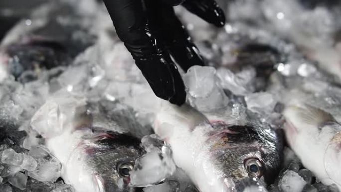 卖家在鲜鱼上放冰。柜台上有新鲜的多拉多。