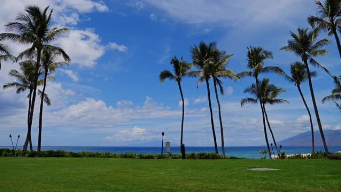 Beach Resort - Palm Trees with Sun Shining