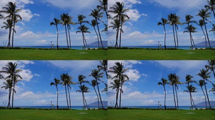 Beach Resort - Palm Trees with Sun Shining