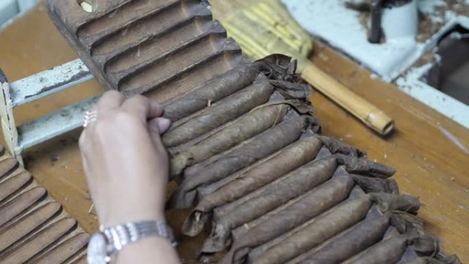 关闭妇女的手从雪茄工厂内的滚压机上整理雪茄