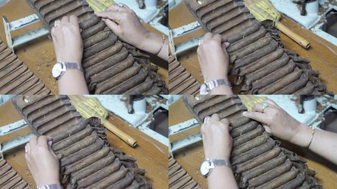 关闭妇女的手从雪茄工厂内的滚压机上整理雪茄