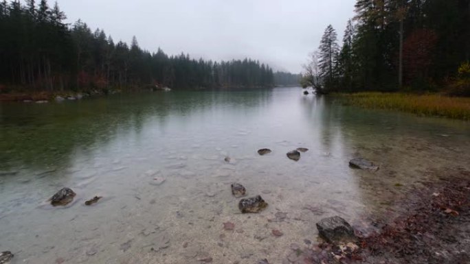 德国欣特湖的秋雨河流树林下雨天