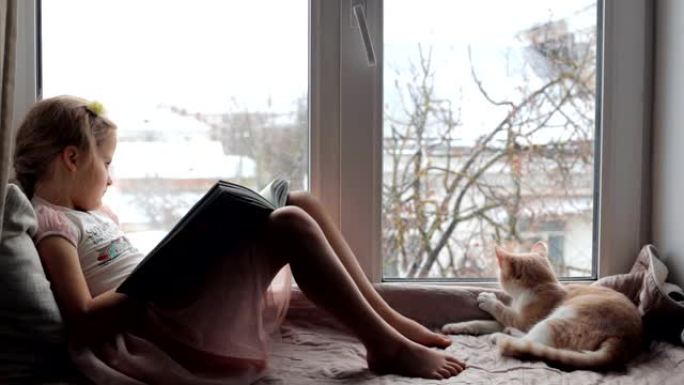 小女孩和猫坐在窗台上看书
