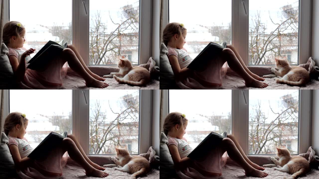 小女孩和猫坐在窗台上看书