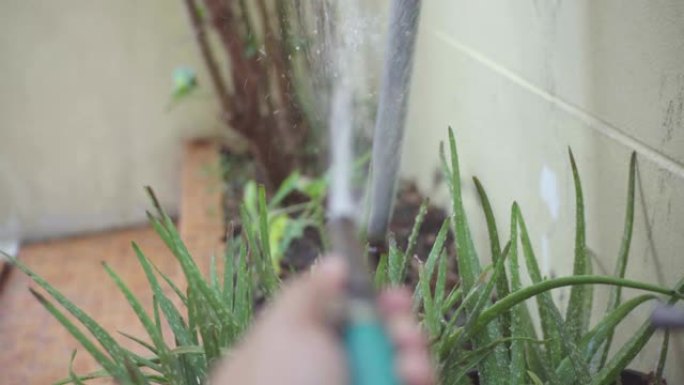 打开水给植物浇水。