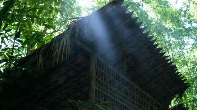 森林小屋上的光线