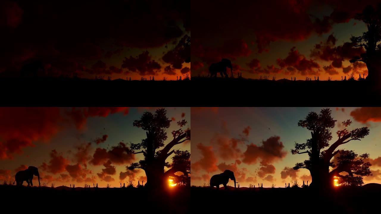 非洲象走向猴面包树，再次美丽的延时日出，平移