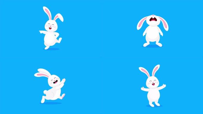 一组不同姿势和表情的白兔。