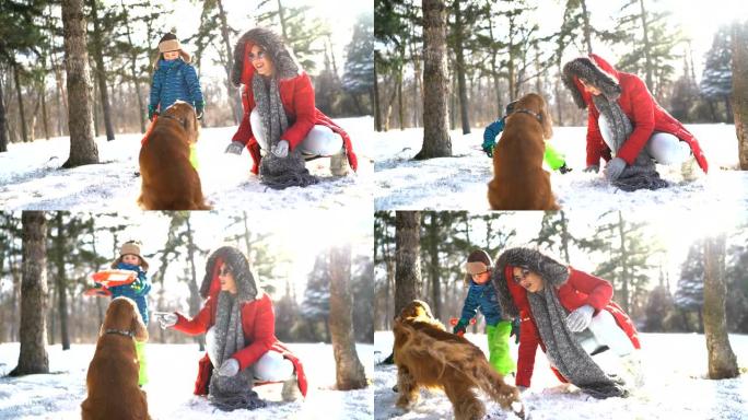 冬季幸福和狗玩耍家庭生活母子