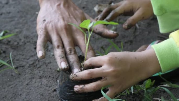 双手近距离教孩子们在慢动作的塑料袋中种树