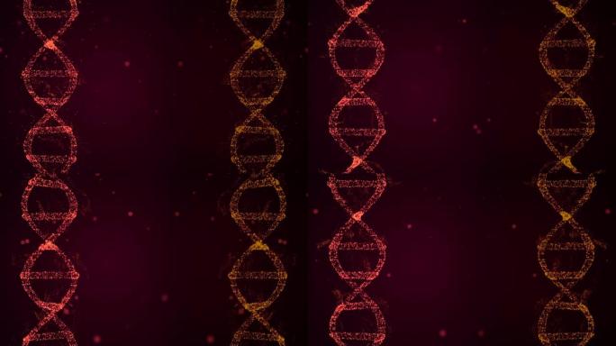 DNA分裂概念。dna复制其内容并分裂成两个称为子细胞的新细胞的可环抽象背景。