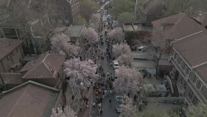 log素材 春季 街景 人群 气氛