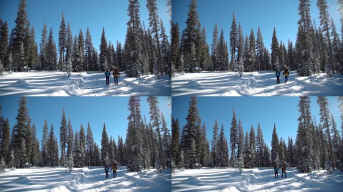 成人徒步旅行者的广视角雪鞋在雪地里整齐的小径上一起行走