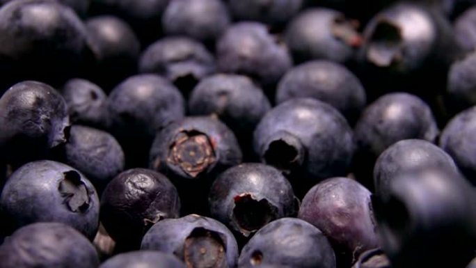 浆果上的蓝莓卷特写
