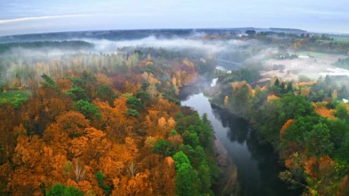 秋天河边有雾的日出，鸟瞰图