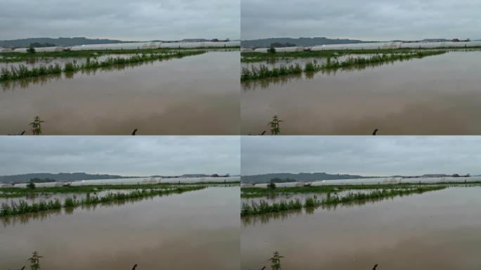 由于大雨导致大量水流，村庄，树木和淹没在洪水中