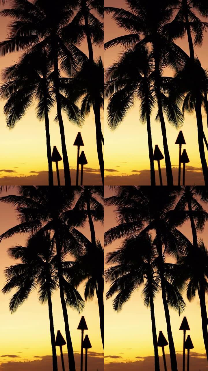 夏威夷海滩上棕榈树的美丽日落，垂直4k慢动作60fps
