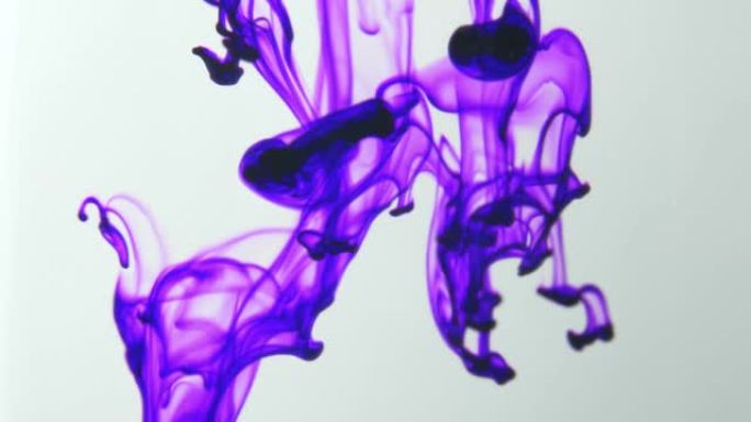 白色背景上的紫色墨水染料在水中流动