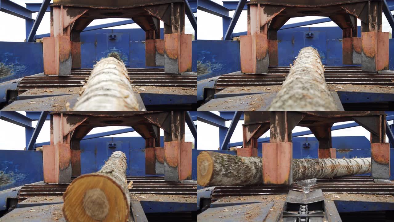 锯木厂的圆木原木准备分类处理。轮式装载机和锯木厂的自动分拣原木直径。木材工业。