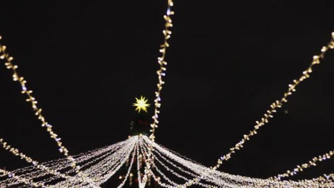 从树上向不同方向悬挂的圣诞集市花环