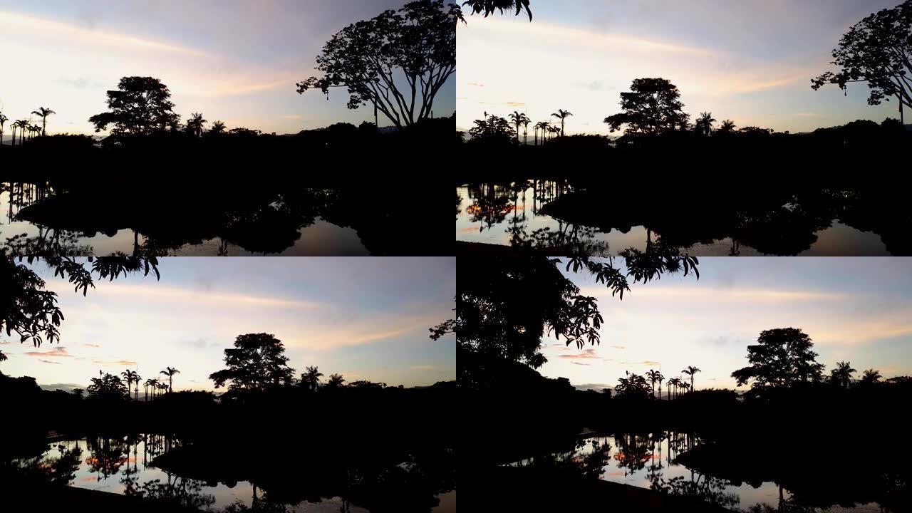 日出在东园。加拉加斯,委内瑞拉。