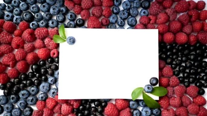 夏季蓝莓，覆盆子和醋栗心脏框架排毒隔离在白色背景。爱浆果边框设计。关闭俯视图或平铺，放置文本