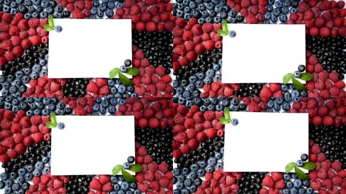 夏季蓝莓，覆盆子和醋栗心脏框架排毒隔离在白色背景。爱浆果边框设计。关闭俯视图或平铺，放置文本