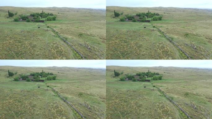 阿根廷牧场被春天的潘帕斯草原包围