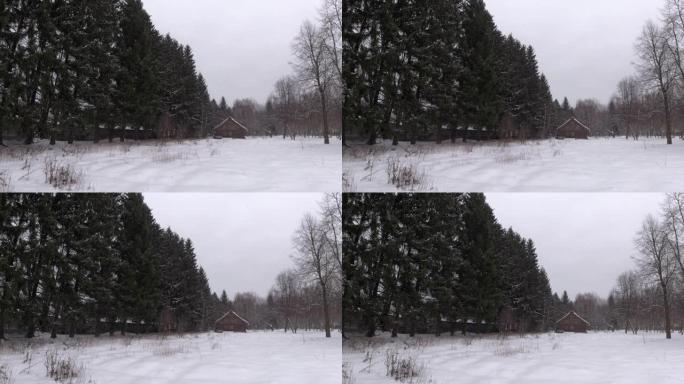 房屋和树木从天而降的雪