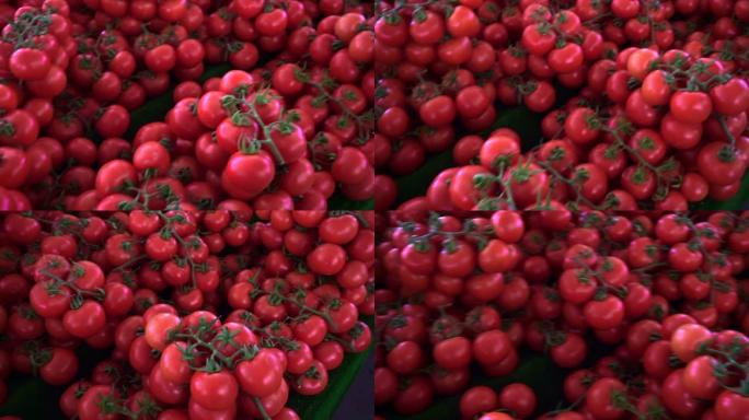 当地市场上的红色和新鲜西红柿