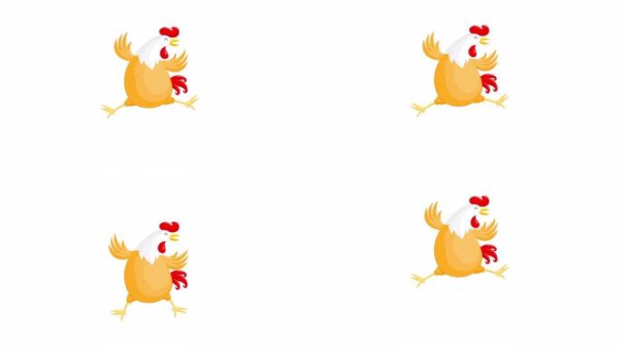 快乐跳鸡。公鸡性格设计。白色背景上的动画。