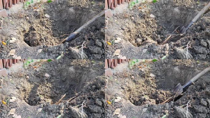 用铲子挖一个洞。特写-干燥的地面。田间的农具。