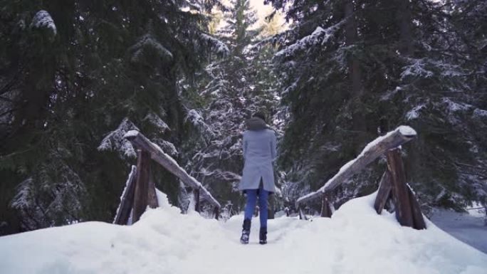 年轻女子看着美丽的白雪覆盖的常绿森林