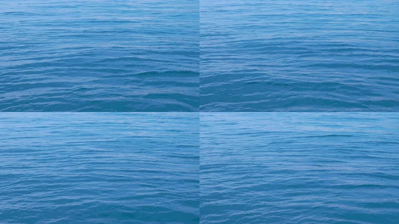 美丽的蓝色海带涟漪